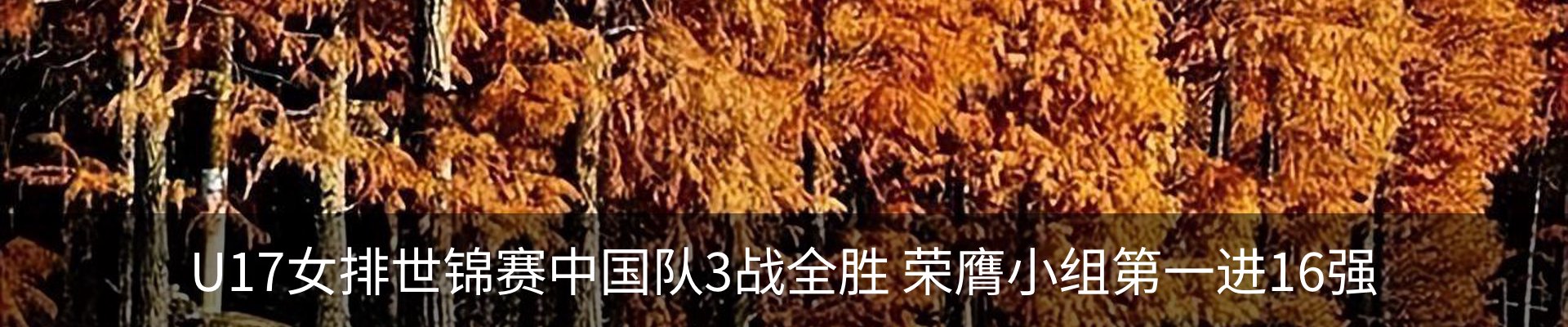 资讯中心